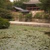 『オクニョ』を１０倍楽しむ豆事典６「茶母（タモ）」